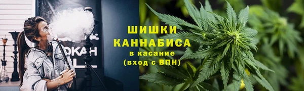 кокс Белокуриха