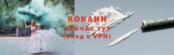 кокс Белокуриха